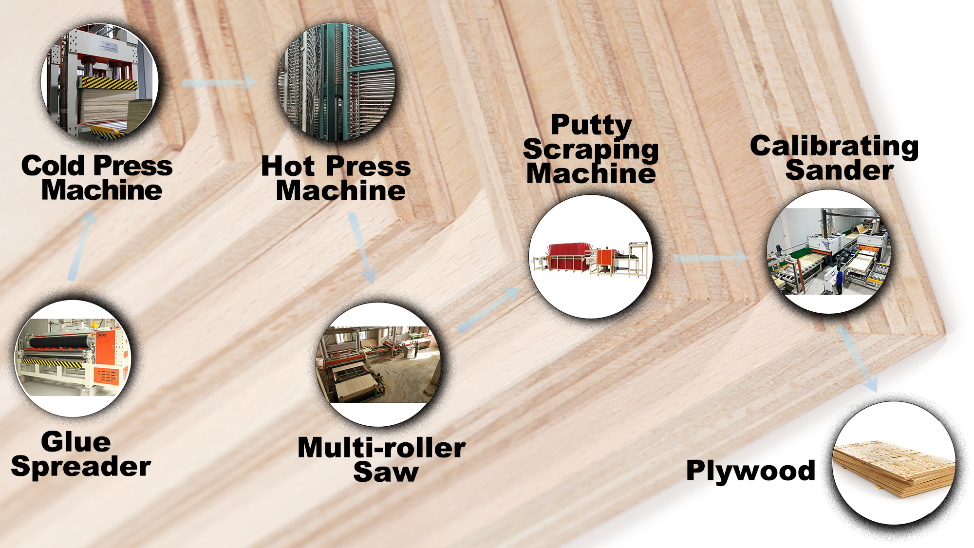 PLYWOOD PRODUCTION LINE
